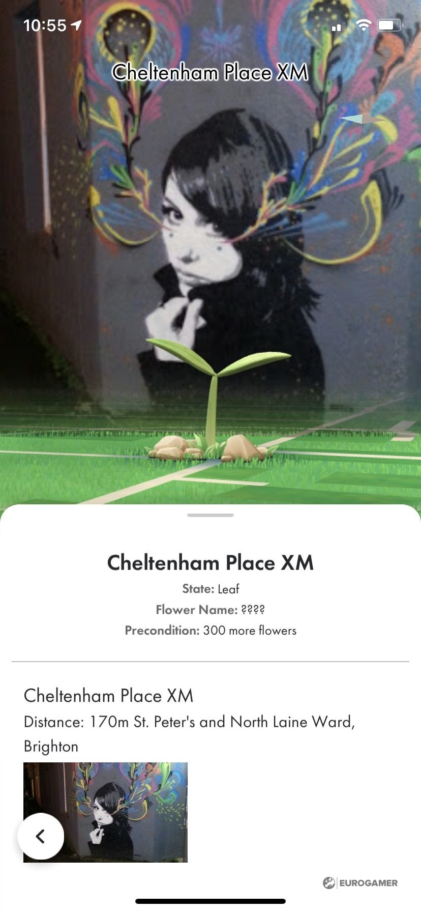 Pikmin Bloom Flowers Big flowers, how to get petals and plant flowers